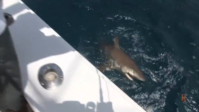 Jimmy Houston Outdoors - Fishing on the Thomas Flyer