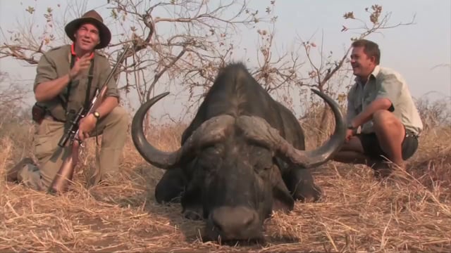 Safari Hunter’s Journal - Sorting Out Nyati