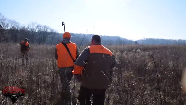 Blood Trail Outlaws - Fields Full of Quail