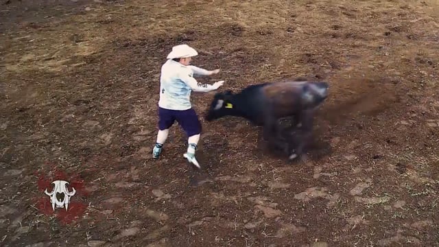 Carnivore TV - Bulls & Bobcats Pt. 2