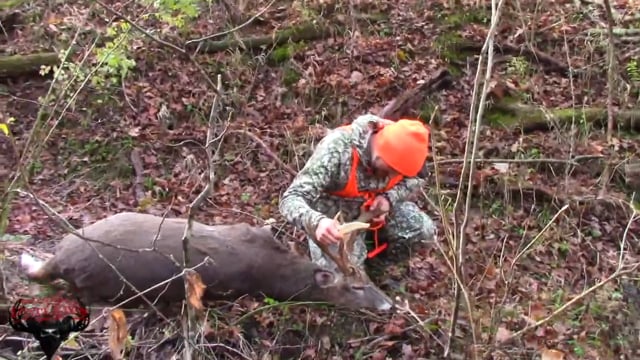 Blood Trail Outlaws - Blind Spots and Blood Trails