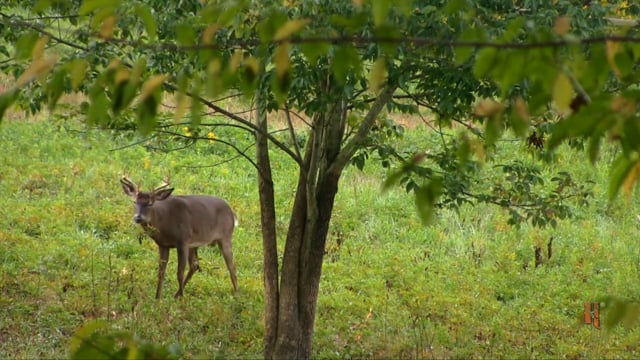 Keystone Wild Outdoors - Redemption