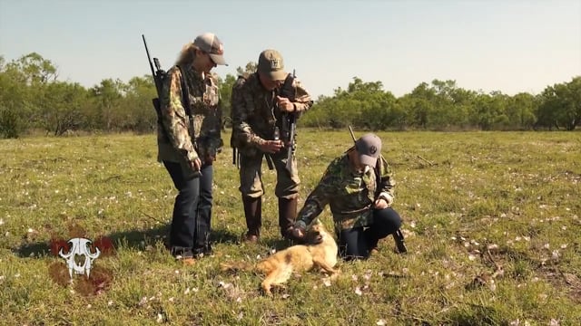 Carnivore TV - Crowning Achievements