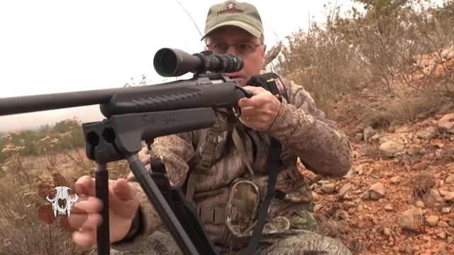 Carnivore TV - Non Stop Coyotes
