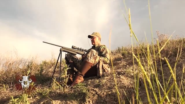 Carnivore TV - Home Field Advantage