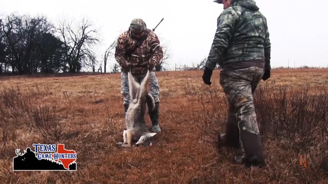 Texas Game Hunters - Decoy Predator Patrol