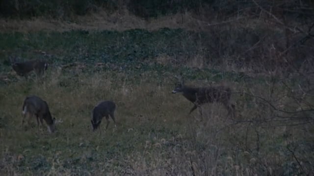 Dirt Road Outdoors TV - Big Buck Down!