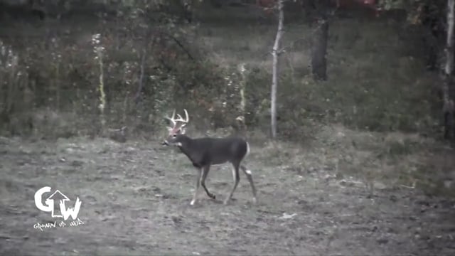Growin’ Up Wild - Central Wisconsin Whitetails