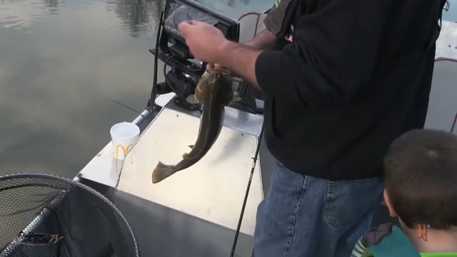 Outdoors in the Delta - Bass and Crappie