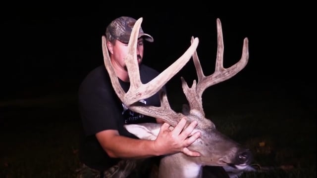 Whitetail Reign - The Tennesee 20