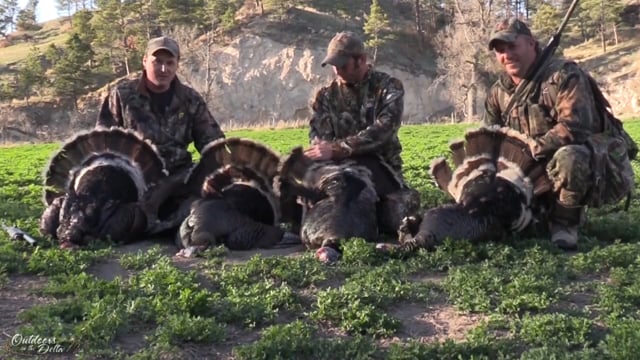 Outdoors in the Delta - Spring Meadows Turkey 2017