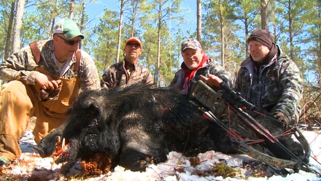 Spook Nation: I am Lethal - 2016 Hog Wild
