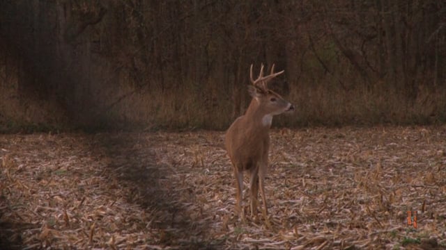 Whitetail Journey - Muzzleloader Madness