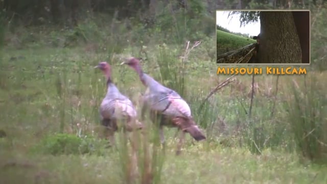Whitetail Reign - Florida Part 1