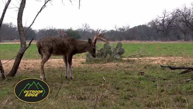 Outdoor Edge's The Great Outdoors - Hunting Texas & Iowa Whitetail