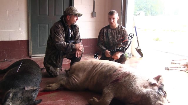 Uncle Bucky's Outdoor Adventures - Hog Wild
