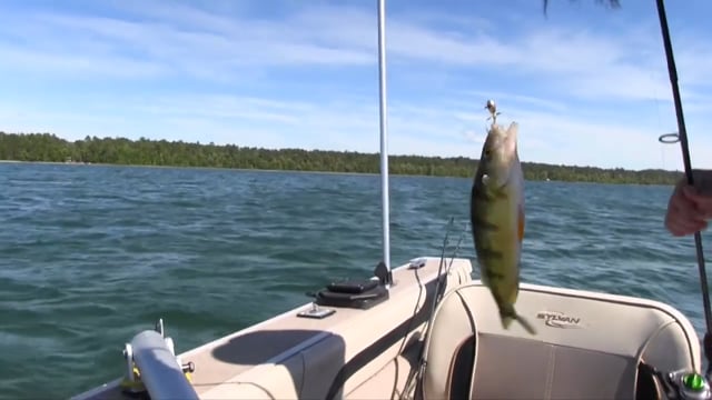 Growin’ Up Wild - Fishing Lake Windigo