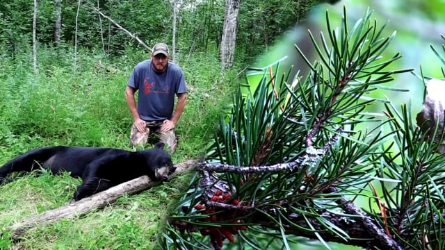 All Seasons Pursuit - Season 2 - Episode 2 - Todd Bear 2