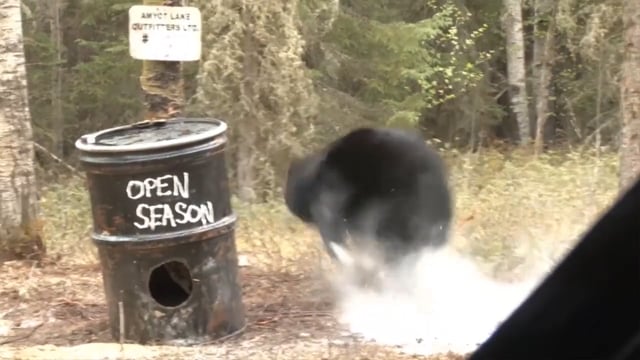 Open Season TV - Black Bears & Whitetails in Manitoba, Canada