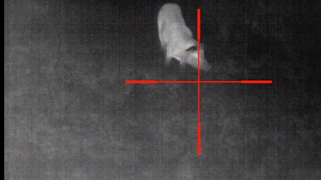 Southern Hog Slayers - Night Hog Hunt 2