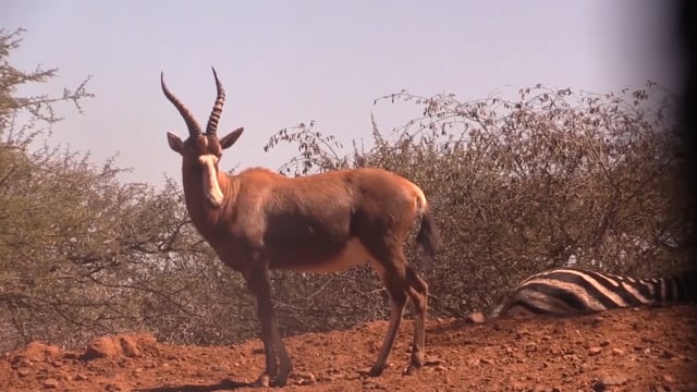 Giving Back - Trophy Game Safaris - Family Traditions