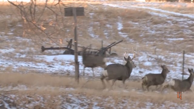 Open Season TV - Terry & Amy Harper