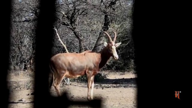 Antler Ice's Bone Cold TV - It's Almost Over