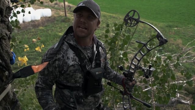 The Bearded Buck - Powder River Speedgoats