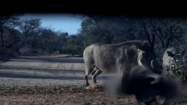 Antler Ice's Bone Cold TV - The Story Continues