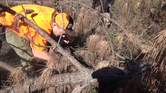 Southern Hog Slayers - 3 Hogs