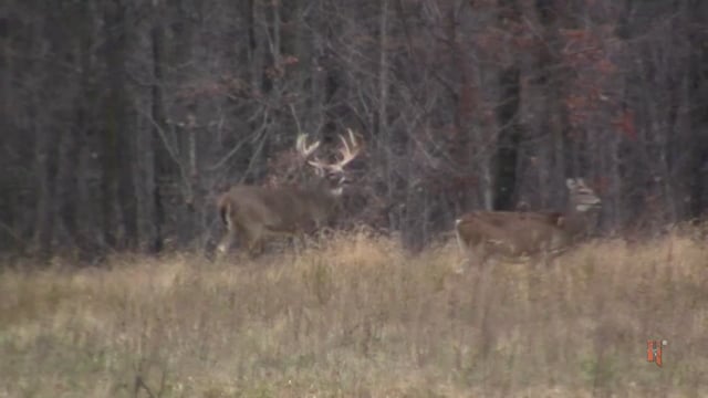Big E TV - Trophy Whitetails at Hogsback Ranch Wisconsin