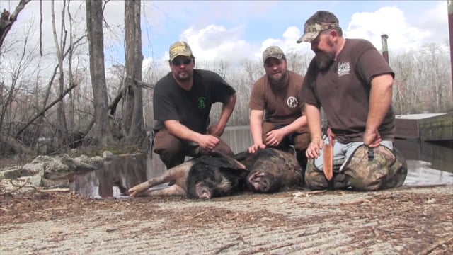 Southern Hog Slayers - 3 Dog Hunts