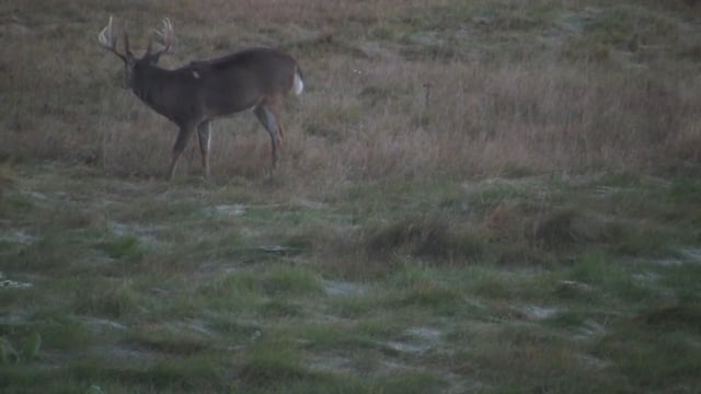 Big E TV - Monster Whitetails at Three Lakes Trophy Ranch Wisconsin