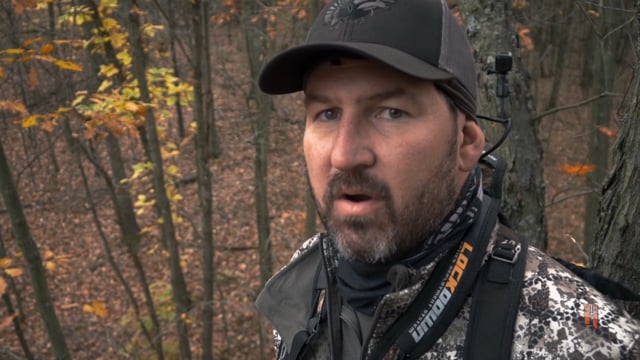 The Bearded Buck - Home Turf Hit Listers