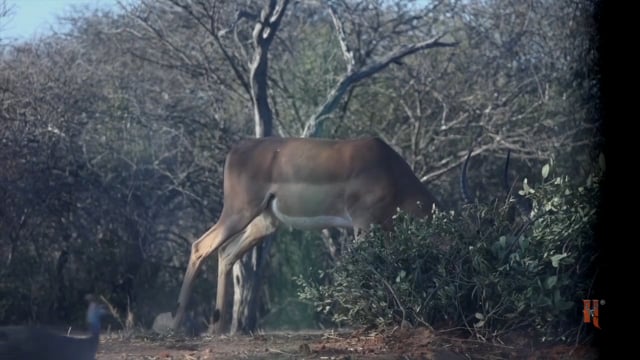 Antler Ice's Bone Cold TV - African Hunter