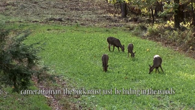 Love Of The Hunt - Ladies in the Woods