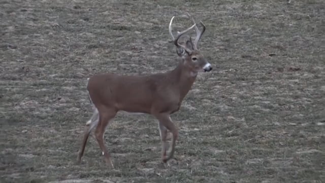 Love Of The Hunt - Season Ends in Kansas