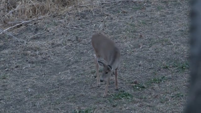Love Of The Hunt - Luck Changes in Kansas