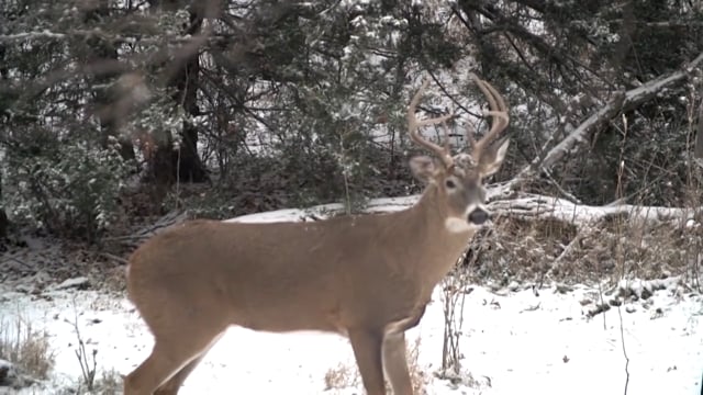 Love Of The Hunt - Brutal Days in Kansas