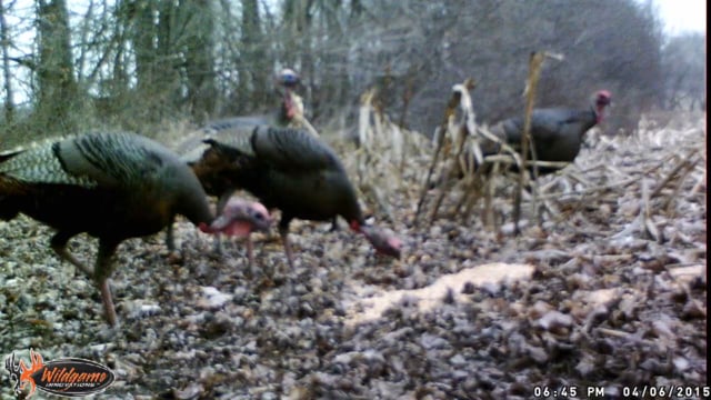 Uncle Bucky's Outdoor Adventures - Triple Double
