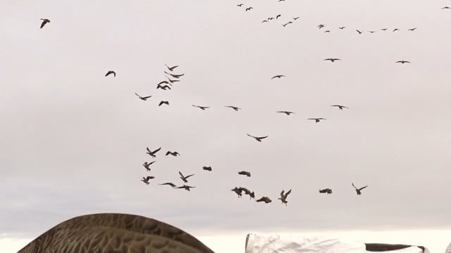 Total Outdoor Pursuit - Rackin' & Stackin' Texas Style
