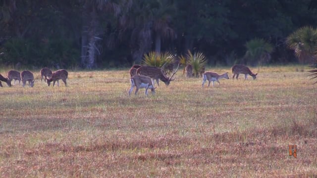 Dirt Road Outdoors TV - Okeechobee Outfitters