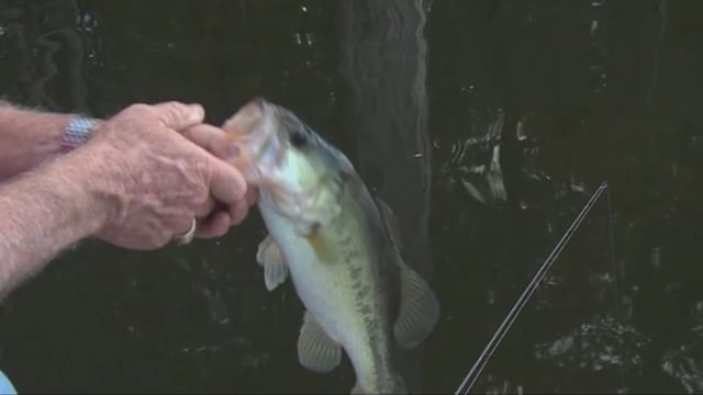O'Neill Outside - Largemouth with Plastics