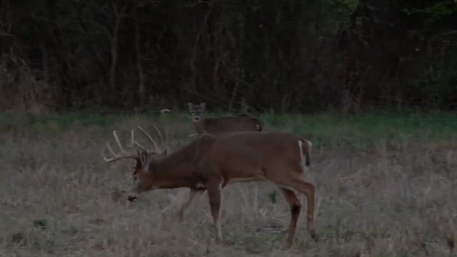 Double Lung TV - Southern Ohio