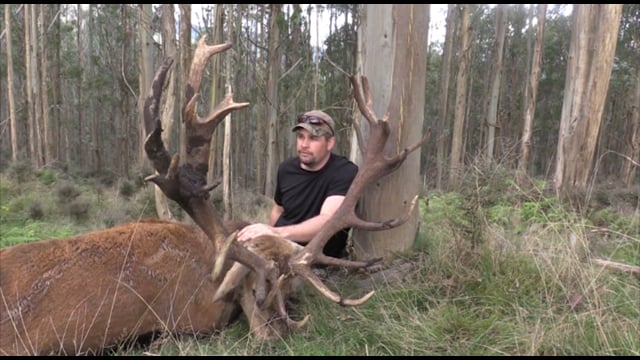 Giving Back - Red Stag in New Zealand
