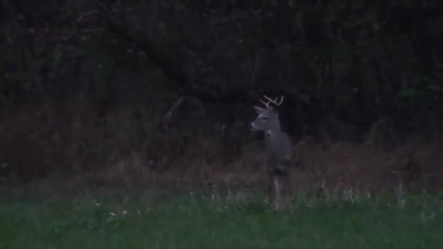 Keystone Wild Outdoors - Filln' The Freezer