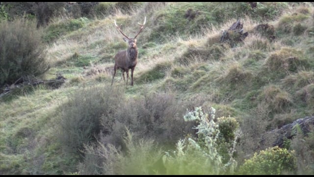 Giving Back - Episode 1 - Sika in New Zealand