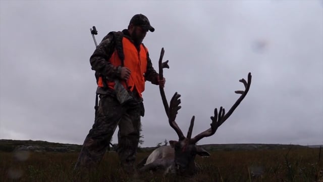 Antler Ice's Bone Cold TV - Ungava Adventures-Caribou