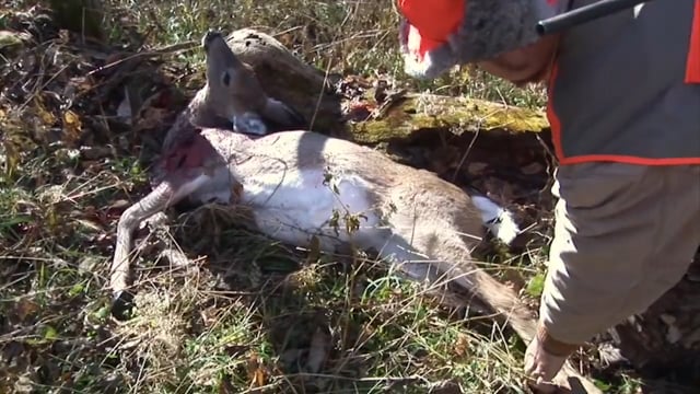 Southern Hog Slayers - Kentucky Hunt