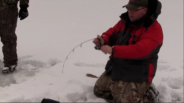 Michigan Gone Wild - Icefishing for Bluegill